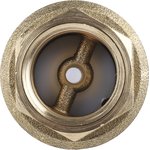 Brass Single Check Valve, BSPP 3/4in, 12 bar