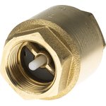 Brass Single Check Valve, BSPP 3/4in, 12 bar