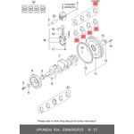 23060-42923, Вкладыши HYUNDAI Porter дв.D4BF шатунные d+0.50 комплект (8шт.) OE