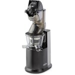 VATTEN VS378/250/N low-speed screw juicer