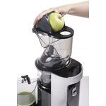 VATTEN VS378/250/N low-speed screw juicer