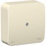Systeme Electric Blanca наруж Молочная Коробка распределительная
