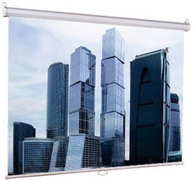 Экран Lumien 150x150см Eco Picture LEP-100101 1:1 настенно-потолочный рулонный