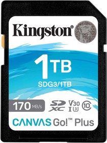 Фото 1/9 Флеш карта SDXC 1TB Kingston SDG3/1TB Canvas Go! Plus w/o adapter