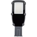 Консольный светодиодный светильник LED ДКУ, 1002-30Д, 5000К, IP65 ...