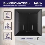 Выключатель Intro Solo 4-105-05 двухклавишный с подсветкой, 10А-250В, IP20, СУ ...