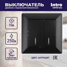 Фото 1/7 Выключатель Intro Solo 4-105-05 двухклавишный с подсветкой, 10А-250В, IP20, СУ, Solo, антрацит