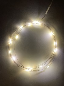 Фото 1/10 ENIN-2B ЭРА Гирлянда LED Нить 2 м теплый свет, АА, IP20 Б0041891