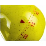 Timer Pear 003618