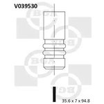 V039530, Впускной клапан