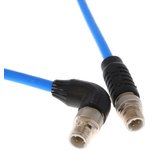 2322422-1, Ethernet Cables / Networking Cables M12 D-4-M CBL ASSY PLG-PLG 1.0M CAT 5E