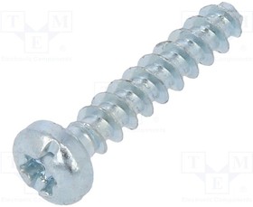 B4X14/BN20002, Винт; для термопластов; 4x14; Головка: цилиндрическая; цинк