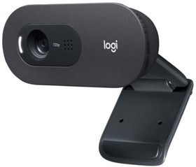 Фото 1/10 Веб-камера Logitech C505 HD Webcam (960-001364)