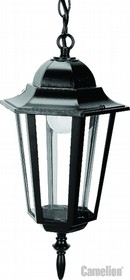4105 С02 (Черный) Светильник улично-садовый 230В 60Ватт