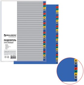 Пластиковый разделитель А4, 31 лист, цифровой 1-31, оглавление, цветной, 225612