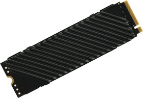 Фото 1/9 Накопитель SSD Digma PCIe 4.0 x4 2TB DGST4002TG33T Top G3 M.2 2280