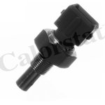 WS2600, Датчик температуры FORD FIESTA 96-, FIESTA IV 95-02, TRANSIT 86-94,