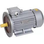 DRV100-L2-005-5-3020, Электродвигатель трехфазный АИР 100L2 380В 5.5кВт 3000 ...