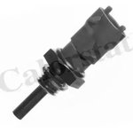 WS2598, Датчик температуры OPEL AGILA 00-, ASTRA G 98-05, ASTRA H 04- ...