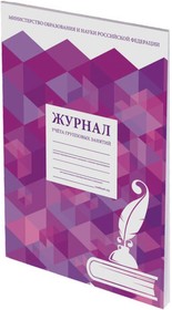 Журнал 10 шт в упаковке учёта групповых занятий 48л А4 200х290мм картон офсет 130246