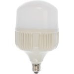 25821, Лампа светодиодная LED 60вт Е27/Е40 белый