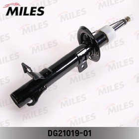 DG21019-01, Амортизатор FORD FUSION 01/04- пер.прав.газ. (SSA04) Miles