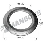 300.005, 300.005MNS_шайба !опорная подшипника 54x98x9 \BPW ECO(6.5-9T)