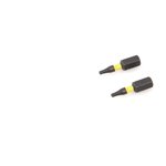 794202 Бита ударная 1/4'', Т9 × 25 мм с отверстием, 2 шт.