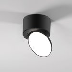 25053/LED / светильник потолочный светодиодный / черный