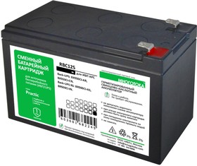 Фото 1/4 RBC125 Practic МНОГОТОКА Сменный батарейный картридж: 12 В, 9 Ач, 2,5 кг, гарантия 12 месяцев