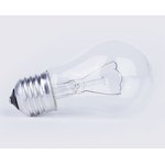 Лампа накаливания 230-60W цв. ал. А55/50 (57466) (100 штук в упаковке)