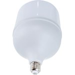 Лампа светодиодная высокомощная LED-HP-PRO 60Вт цилиндр 6500К холод. бел ...