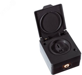 42101, Розетка РШ 42В 10А брызгозащищенная наружная IP43, Переноска ...