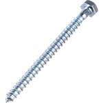 Шуруп с шестигранной головкой 6\ 8060 60 шт 0300547 КЧ