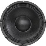 55-2951, 10" Woofer with Paper Cone and Cloth Surround - 125W RMS at 8 ohm