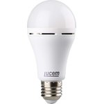 LED лампа с аккумулятором LM-EBL 12W 6500K E27 FLEBL122765L