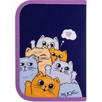 Пенал ПИФАГОР, 1 отделение, 1 откидная планка, полиэстер, 19х13 см ...