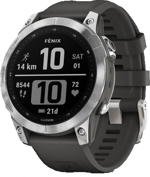 Garmin fenix 5 silver with black band online