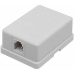 Itk CS2-1C5EU-12 Настенная инф. розетка RJ45, кат.5Е UTP, 1-порт