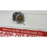 04204796, 0420 4796 Термостат