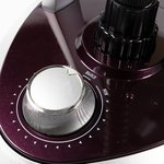 OdysseyQ-7, Отпариватель Endever Odyssey Q-7 фиолетовый