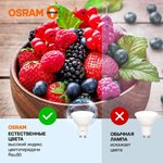 Лампа светодиодная LED Value LVPAR1635 5SW/865 5Вт GU10 230В 10х1 RU OSRAM ...