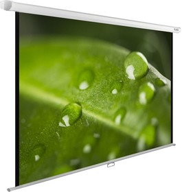 Фото 1/6 Экран Cactus WallExpert CS-PSWE-200x150-WT, 200х150 см, 4:3, настенно-потолочный