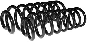 53005, Пружина