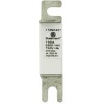 170M1417, Specialty Fuses 100A 690V 000TN/80 AR UC