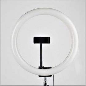 УТ-00000285, Светодиодный кольцевой осветитель FST LED 12-RL