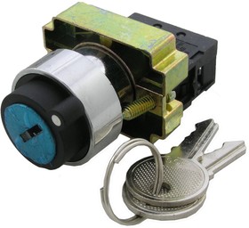 3SA8-BG21, Выключатель с ключом , 2 положения, NO, 3 А, 240 В, IP40, винтовой зажим