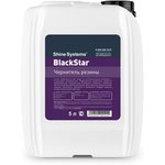 Чернитель резины BlackStar, 5 л SS942