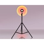 Ambrella Атмосферная светодиодная напольная лампа с пультом DE8387 BK черный LED ...