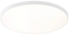 Ambrella Светильник светодиодный потолочный FZ1223 WH белый IP44 43W 4200K D455*60 (Без ПДУ)